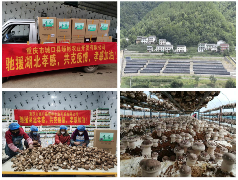 QQ图片20200515180221.png