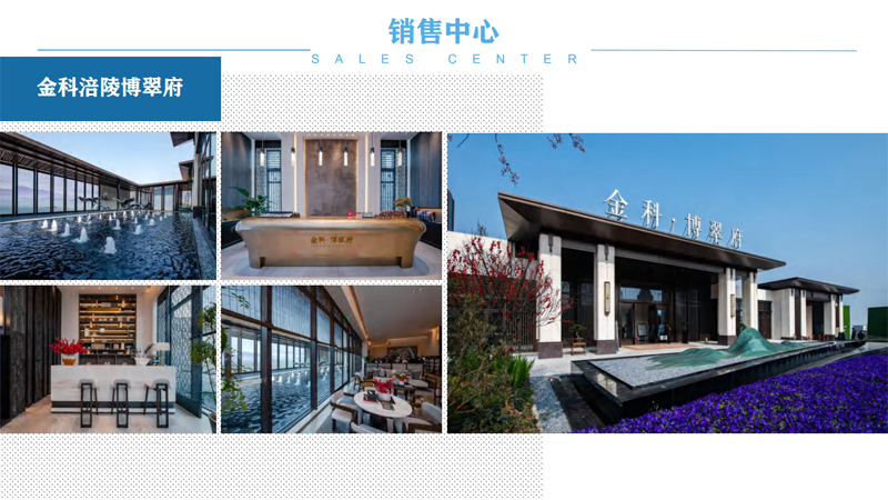 项目业绩9.png