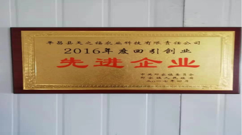 平昌县天之福农业科技资料（10.28-11.4) 做奖牌以及专题报道852.png