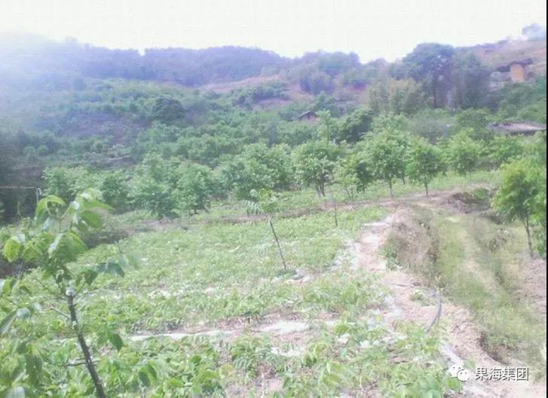 6 雷波基地建设.jpg