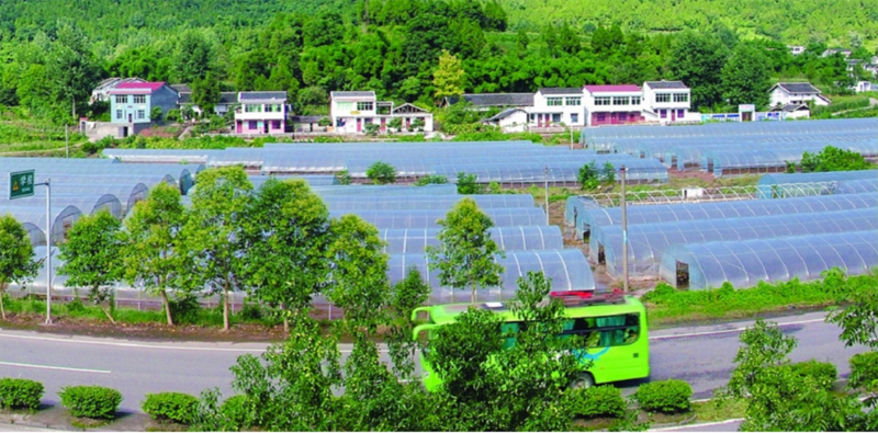 基地建设.png