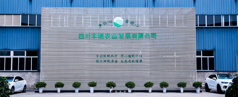 公司11.png