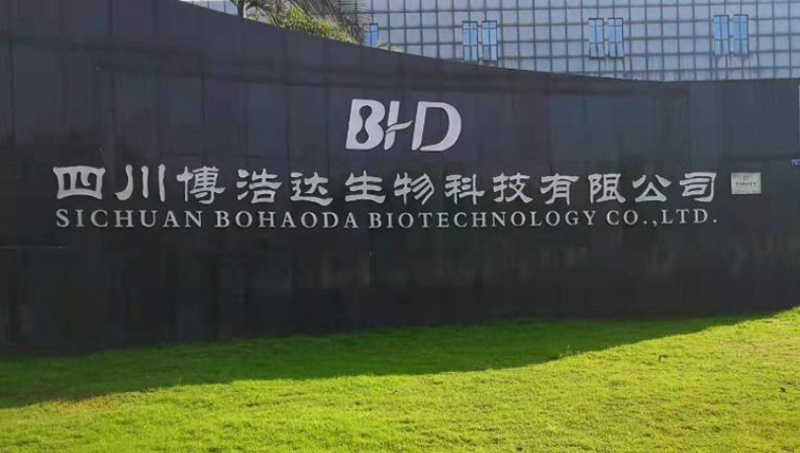 公司图片.png