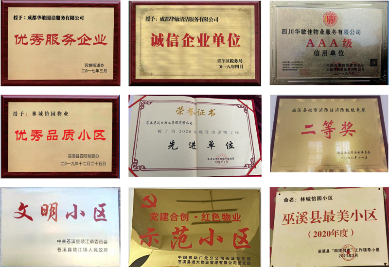 6 取得荣誉.png